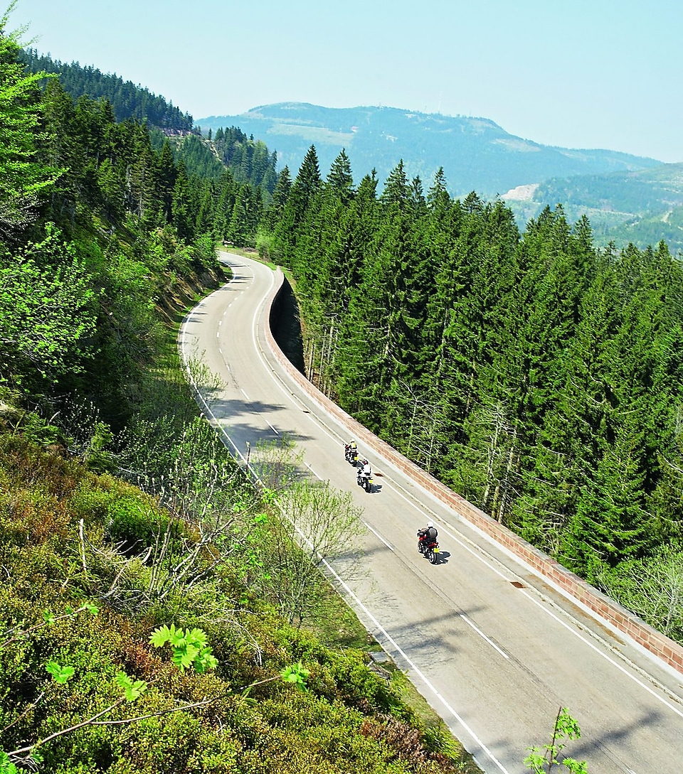 沿着绿树成荫的山路行驶的三辆摩托车