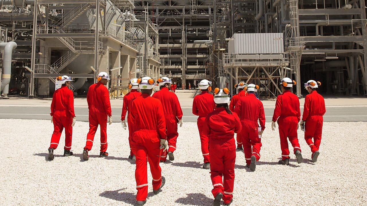 Engineers walk towards the plant discussing guard bed impact