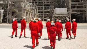 Engineers walk towards the plant discussing guard bed impact
