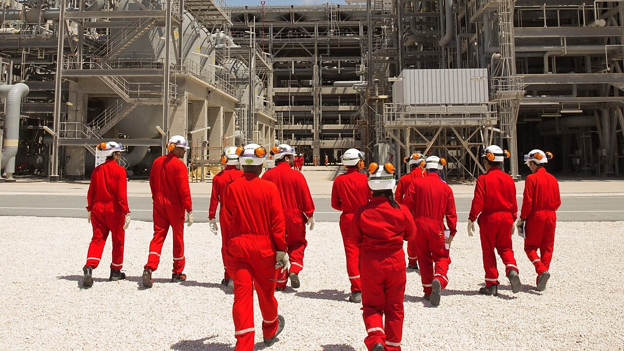 Engineers walk towards the plant discussing guard bed impact