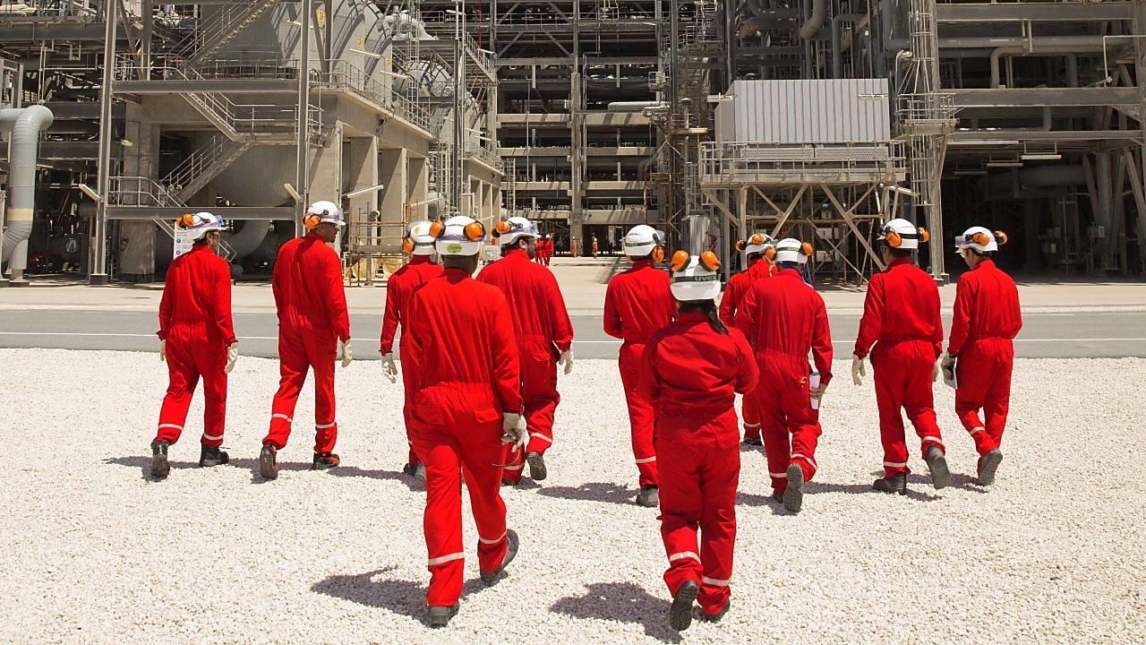 Engineers walk towards the plant discussing guard bed impact