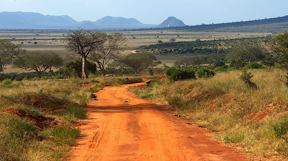 Narrow village road in landscape