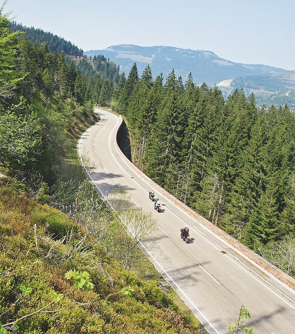 Three motorbikes racing along a tree lined mountain road