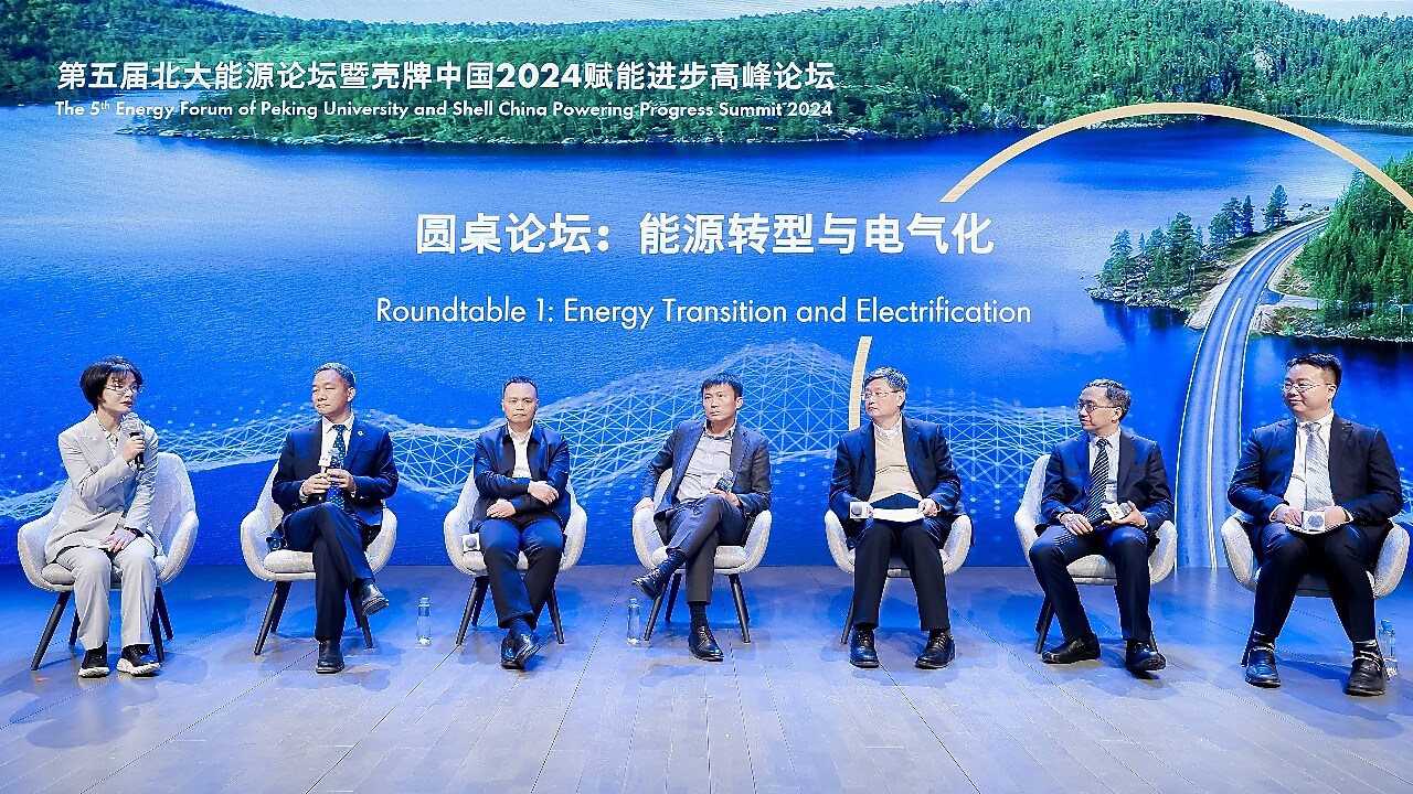图注：“能源转型与电气化”圆桌论坛