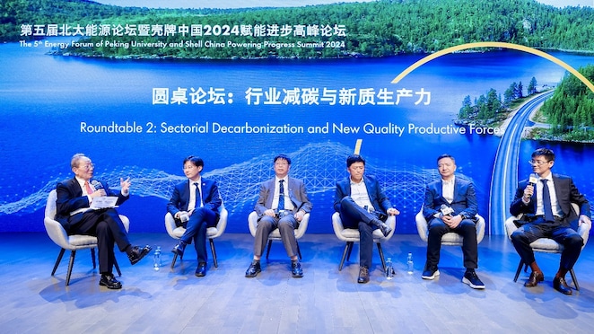 图注:“行业减碳与新质生产力”圆桌论坛