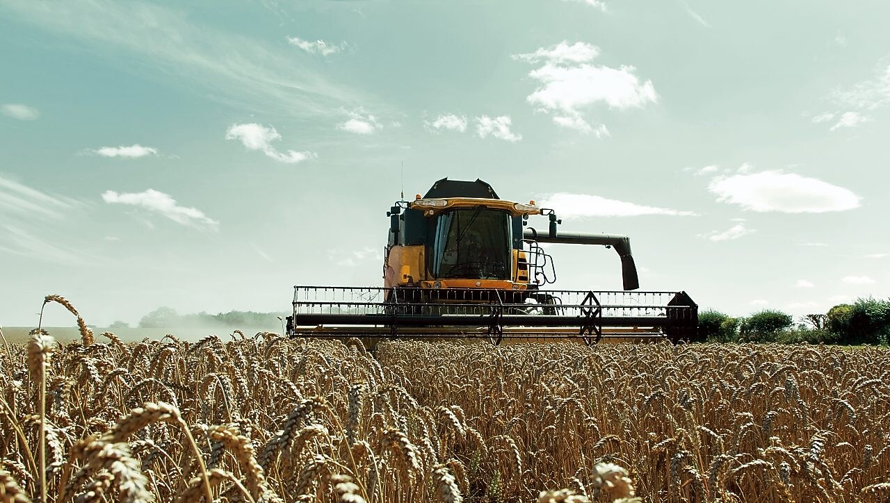 麦田里的黄色联合收割机