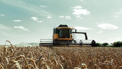 麦田里的黄色联合收割机