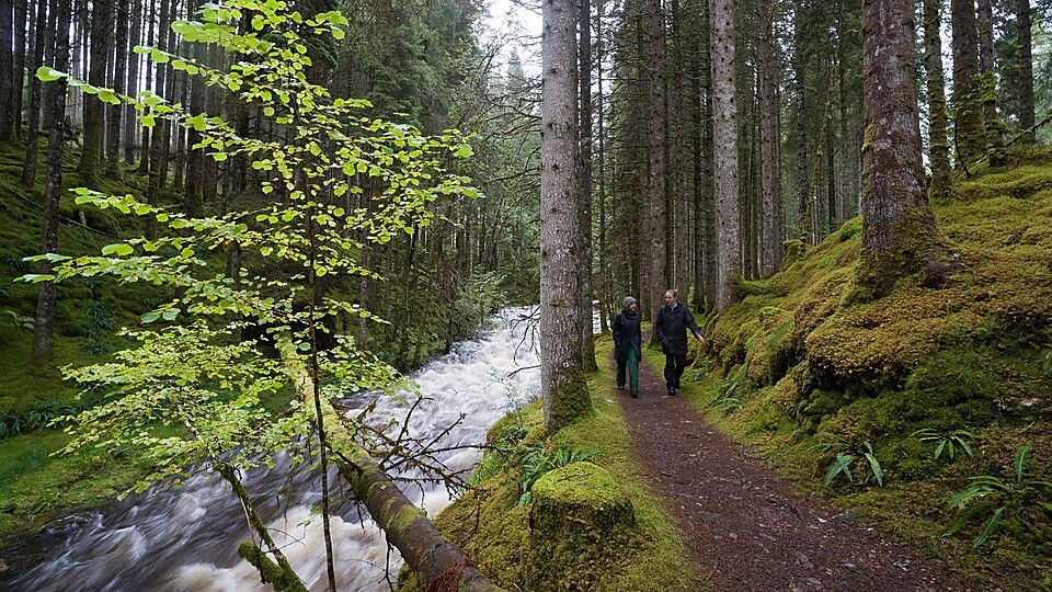 一位男子和一位女子正在森林中的急流中行走。