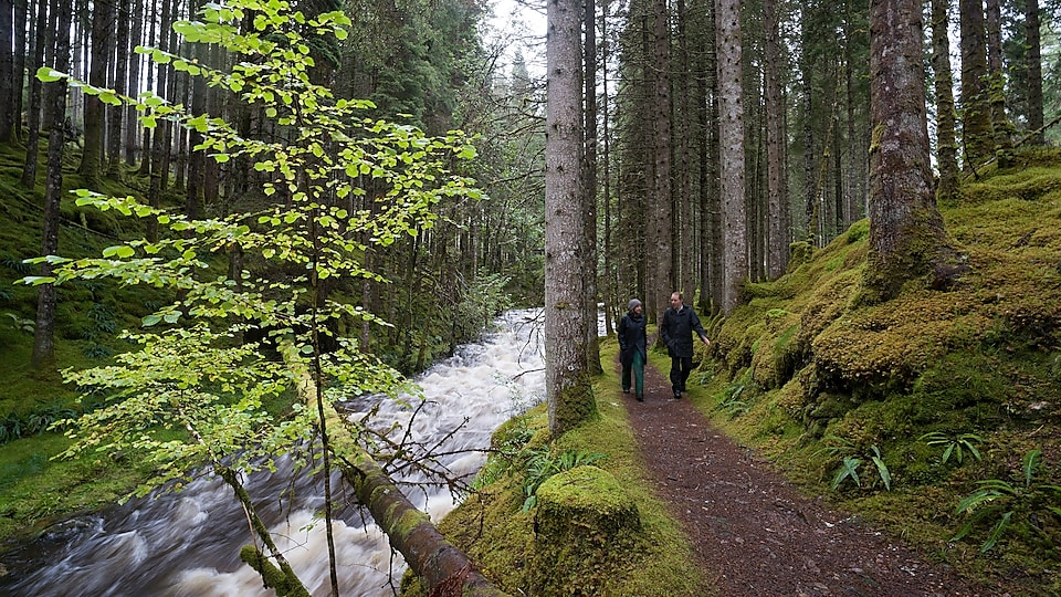 一位男子和一位女子正在森林中的急流中行走。